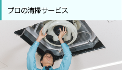 プロの清掃サービス