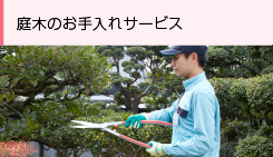庭木のお手入れサービス